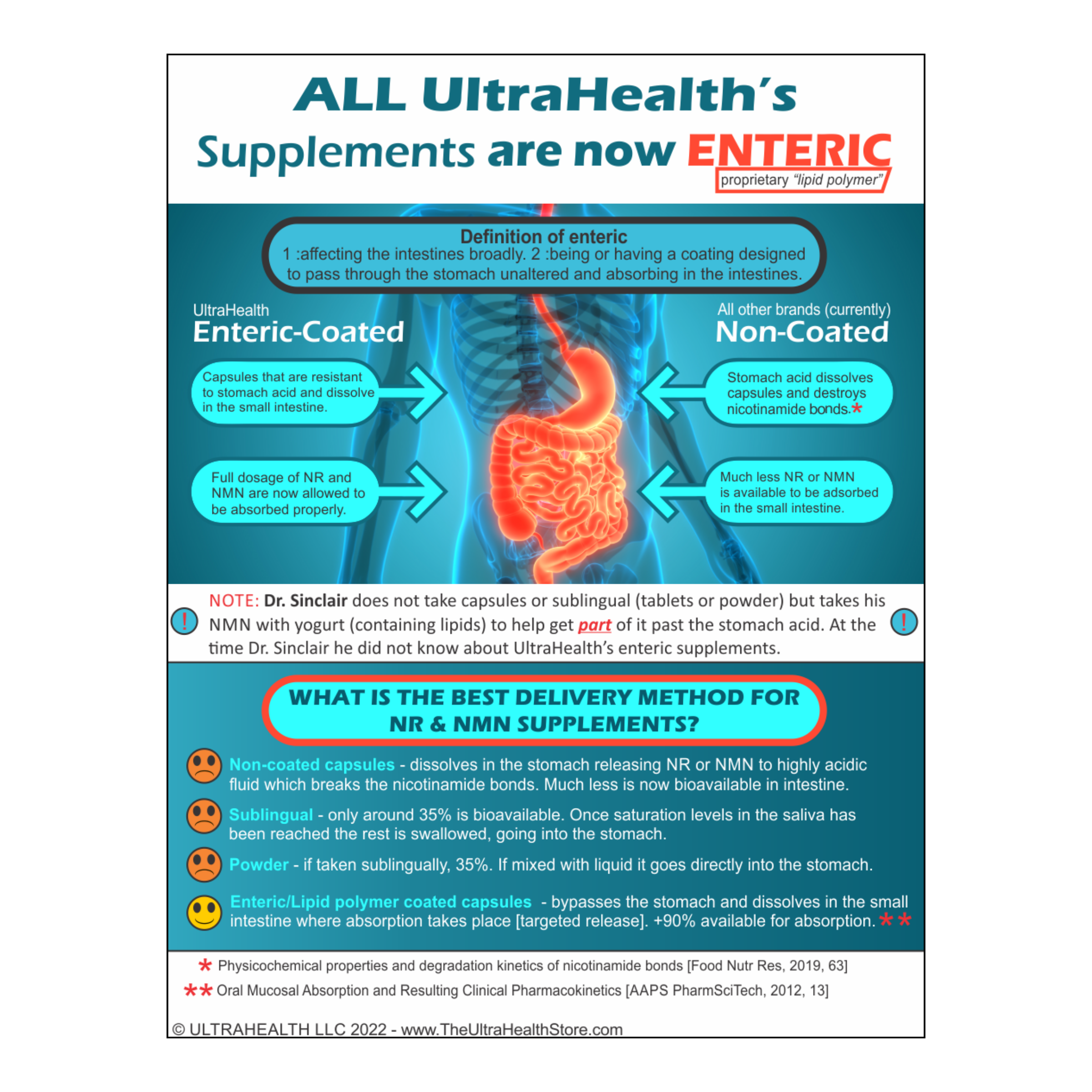 Best Spermidine Supplement - 10-month supply, 300E INTL Liposomal