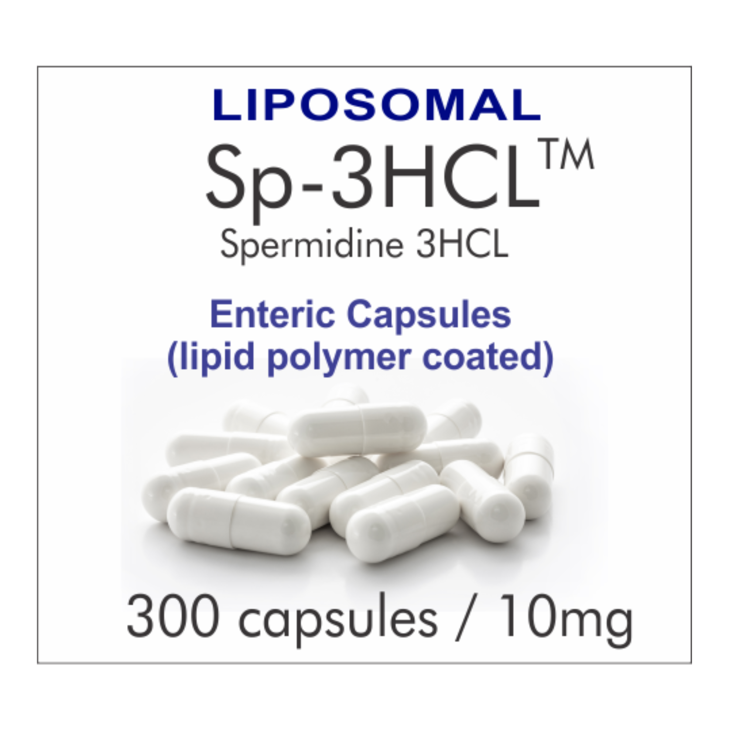 Best Spermidine Supplement - 10-month supply, 300E INTL Liposomal