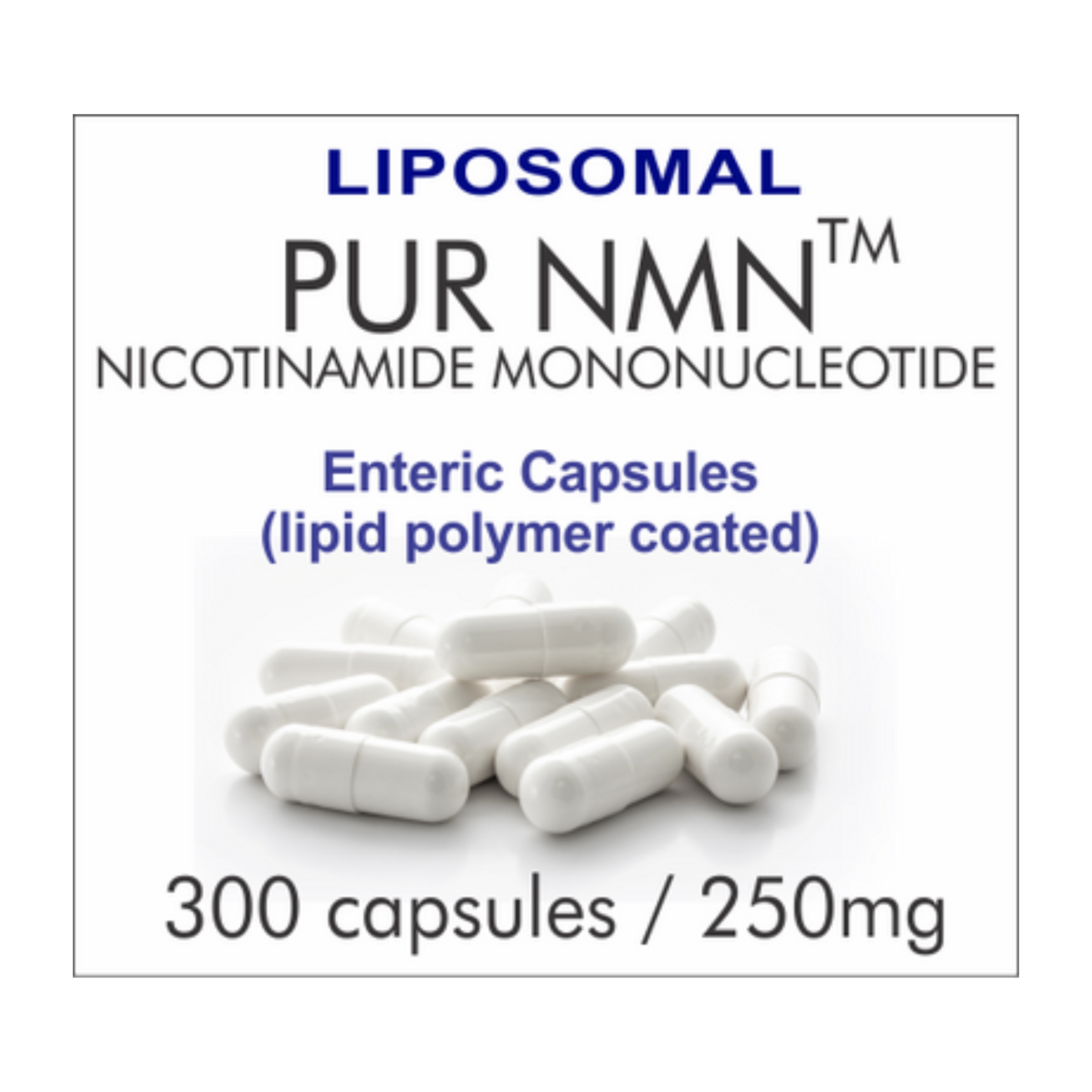 PUR N.M.N. 300E INTL, 10-Month Supply, 250mg, Liposomal NAD+ Boosting Supplement