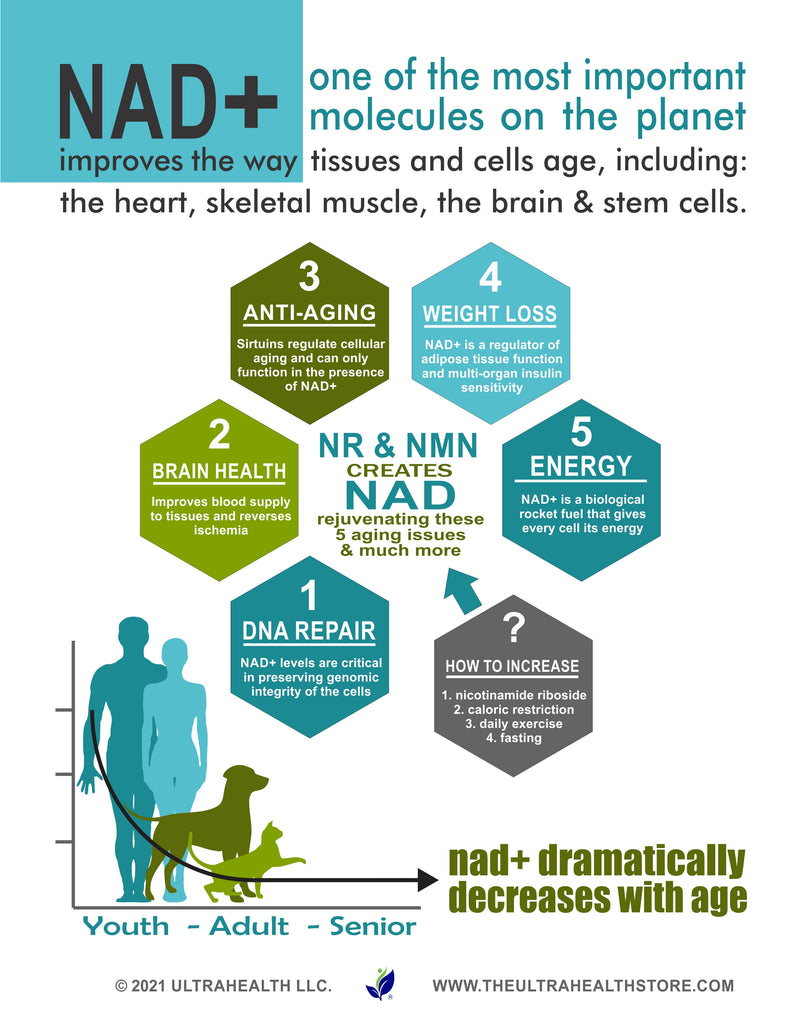 NR (nicotinamide riboside) ENTERIC - High Purity NAD+ Supplement.