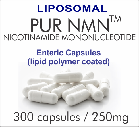 NR 300C INTL A ENTERIC (300 capsules), Nicotinamide Riboside (100% RiboGEN) 300mg Vegetarian Capsules for Private Label Supplements